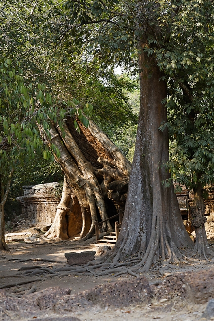 Ta Phrom et environs-034